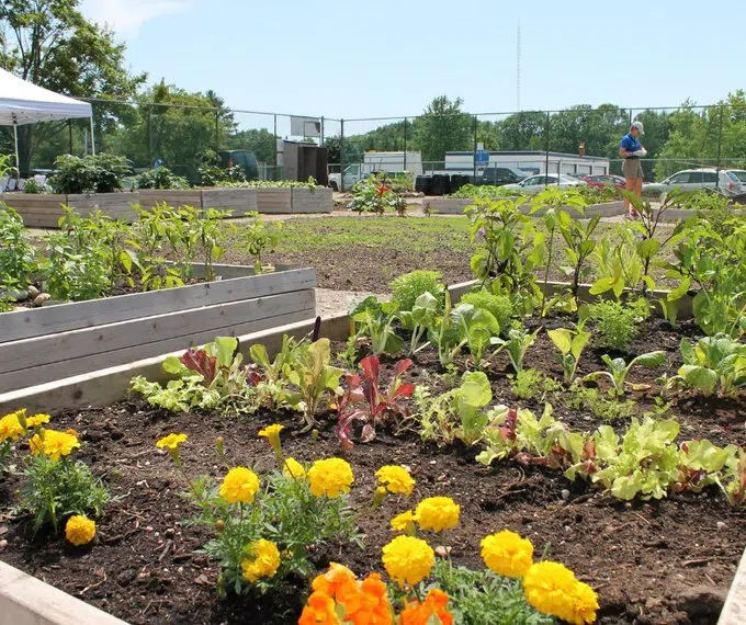 Reservations Open For Plots in Tiny Community Garden | Bayshore ...