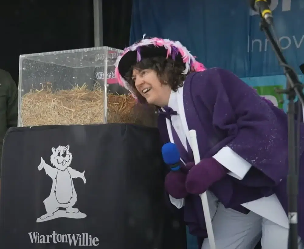 It’s Groundhog Day! So, What Did Wiarton Willie Predict? | Country 102