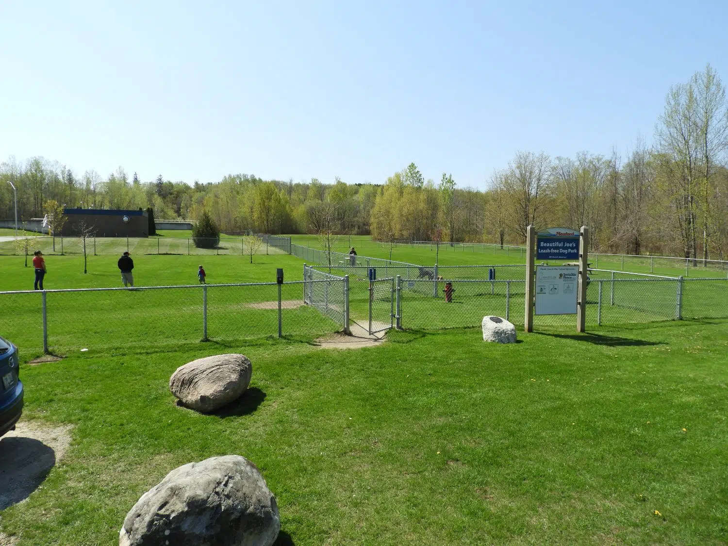 Deliberate Closure For Gorgeous Joe Canine Park Not on time