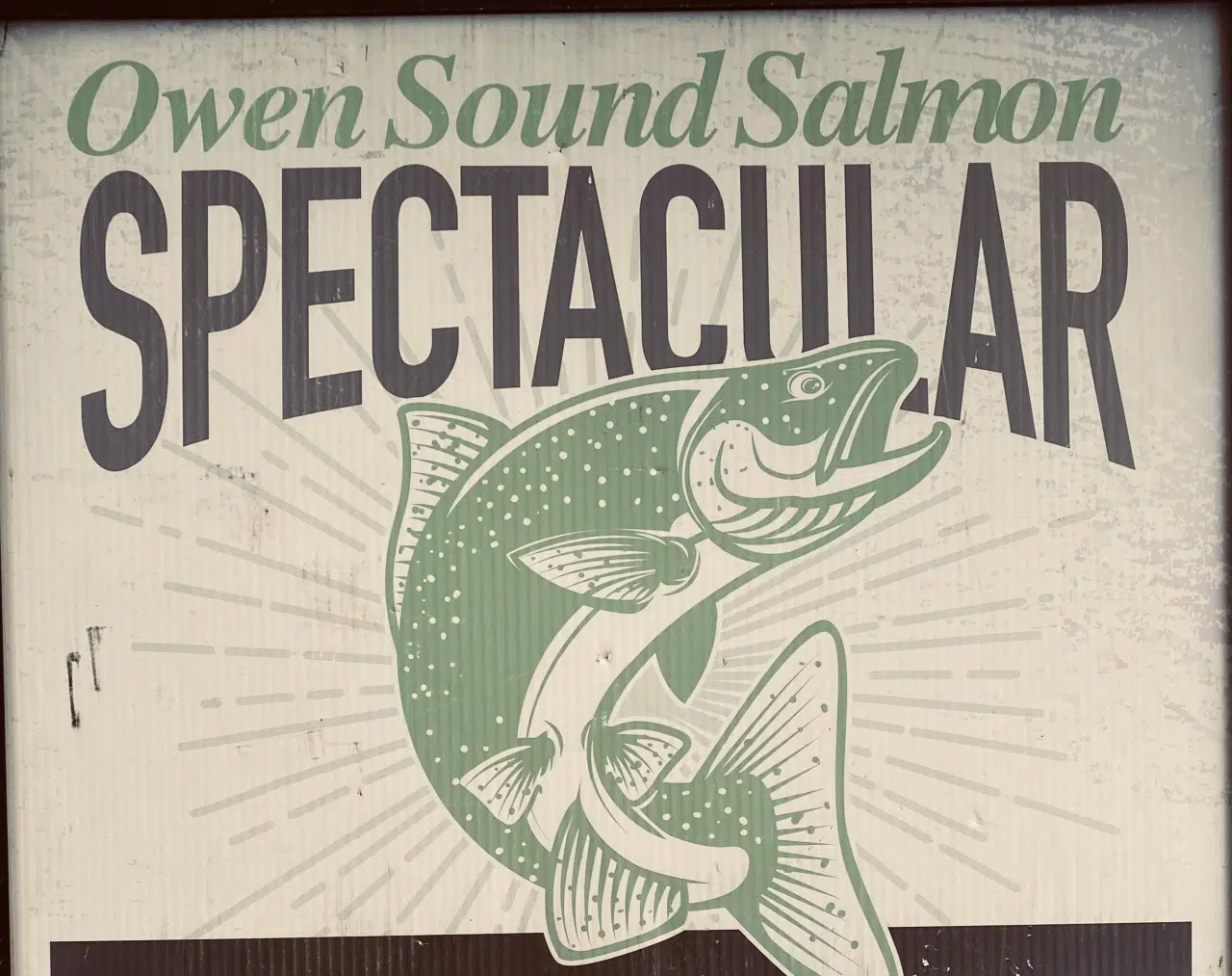 The Owen Sound Salmon Spectacular Comes To A Close 560 CFOS