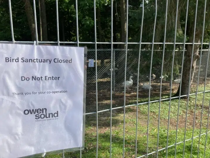 Avian Flu Detected In Harrison Park Birds