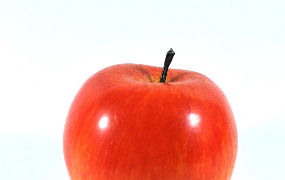 It’s Apple Day In Bracebridge Bayshore Broadcasting News Centre