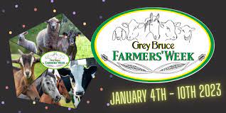 Horse Day at Grey Bruce Farmers' Week. Interview with Wendy Pearson - Vimarsana News