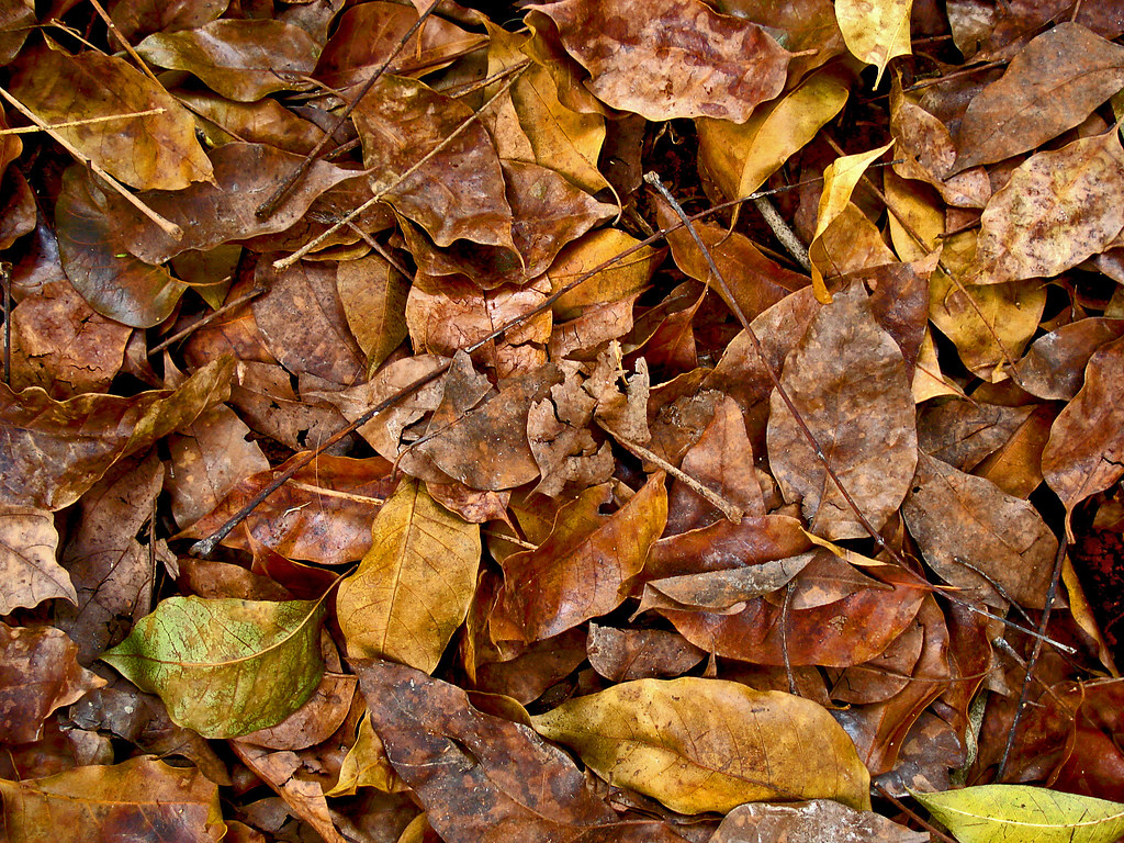 Staffing Could Be Considered To Combat Non-Resident Use Of Owen Sound Compost Site - Vimarsana News
