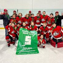 Icedogs To OMHA Tournament - Vimarsana News
