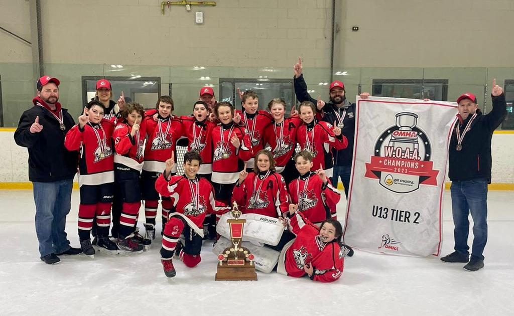 Icedogs Advance To OMHA Finals - Vimarsana News
