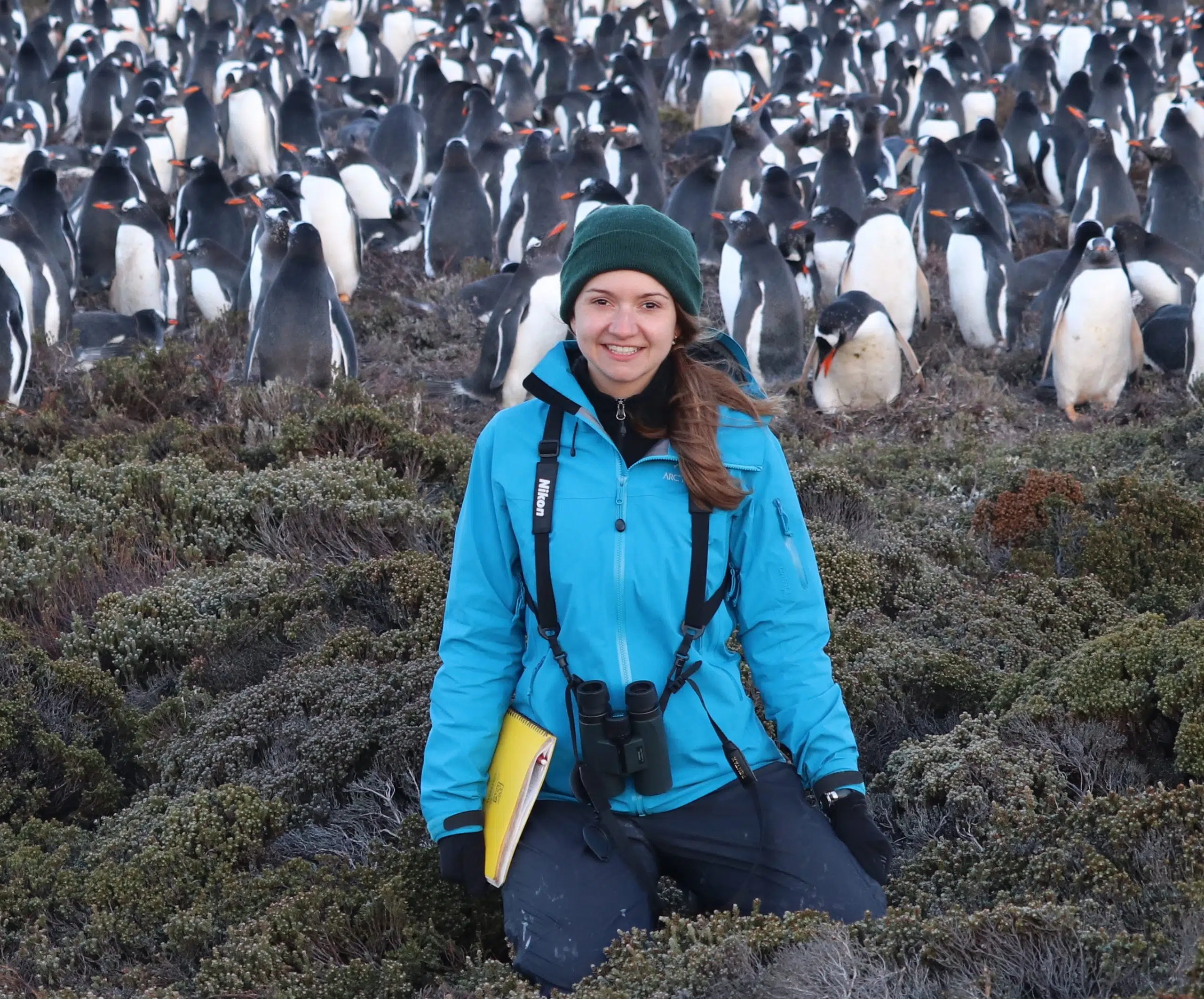 Grey Sauble Conservation Foundation Hosts Earth Film Festival At Roxy ...