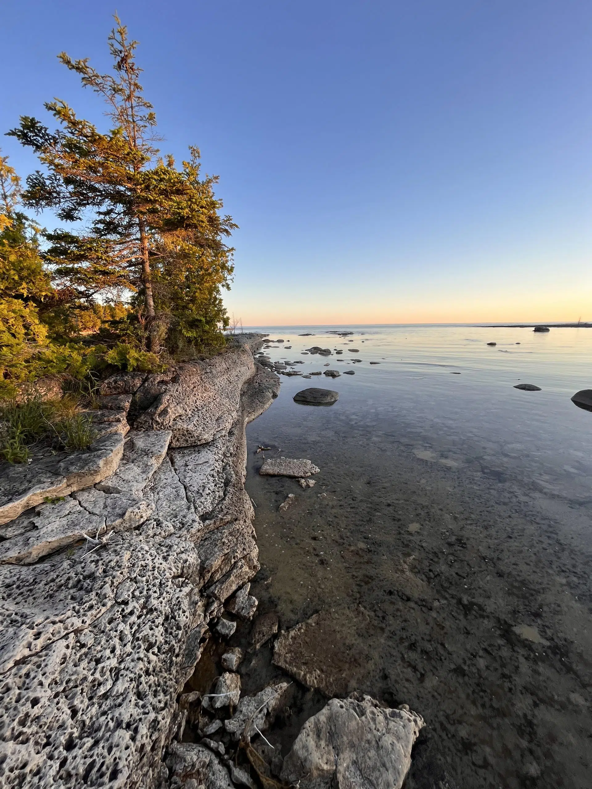Nature Conservancy Purchases 24Hectare Property Near Tobermory 560 CFOS