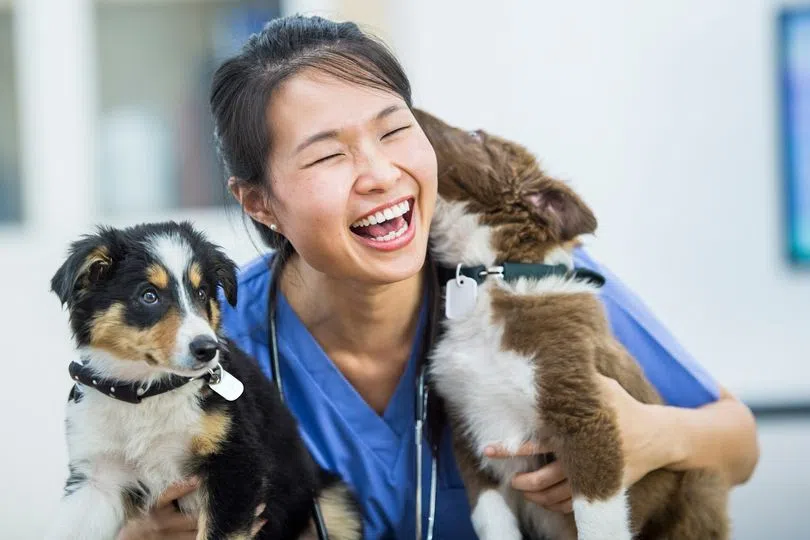 Nominations open for the Ontario SPCA’s Veterinary Appreciation Contest