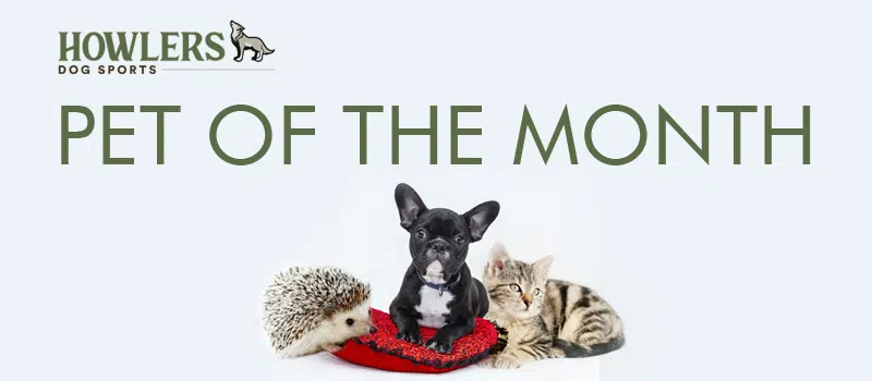 Feature: /pet-of-the-month/