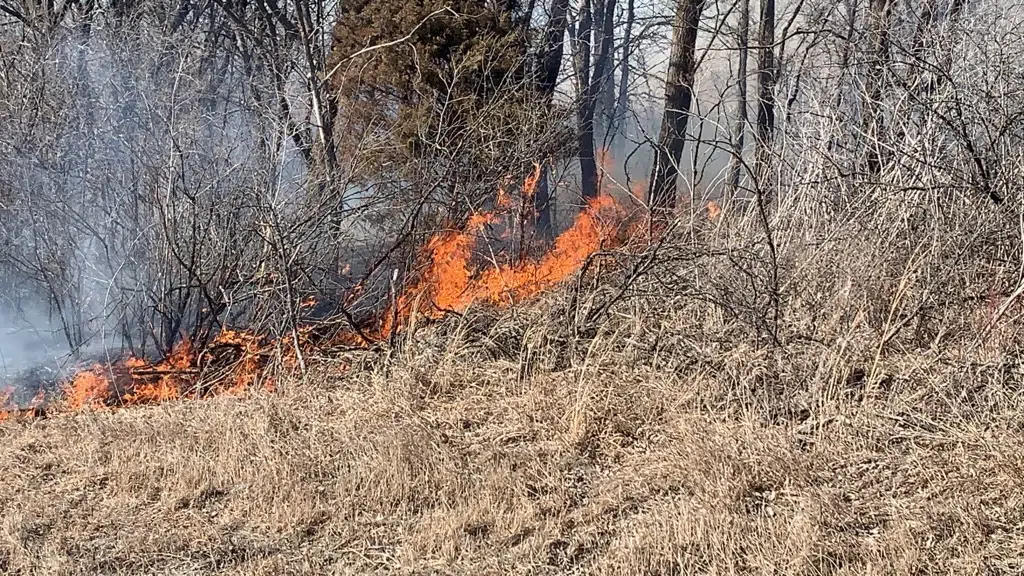 Planning a Controlled Burn? Osage County Joins Lyon County in Online Burn Permit