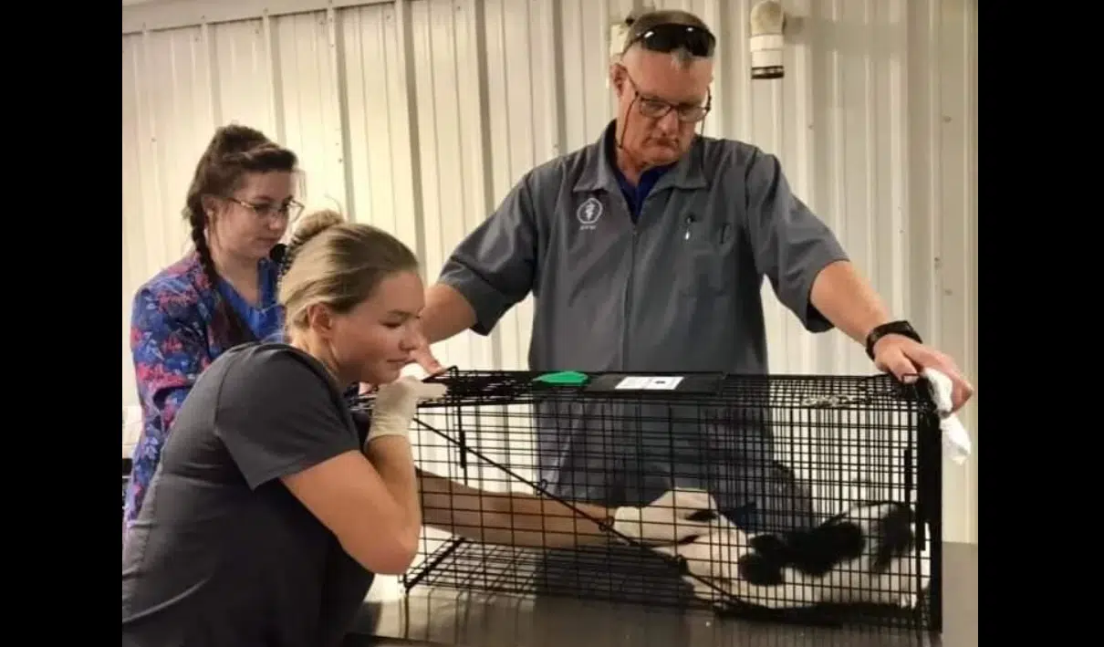 PET RESCUE With medical care ongoing, Emporia Animal Shelter announces