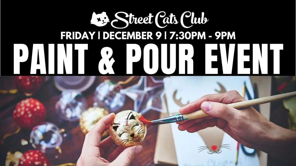 Street Cats Club is hosting a Christmas event for all the cat lovers KVOE