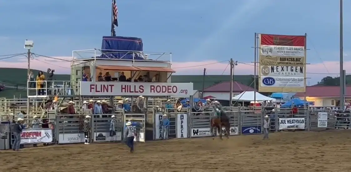 Talent, tradition and local excellence make a great show; 85th annual