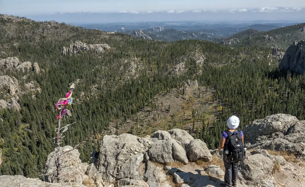 Senators Thune and Barrasso co-sponsor Black Hills Protection and Jobs Preservation Act