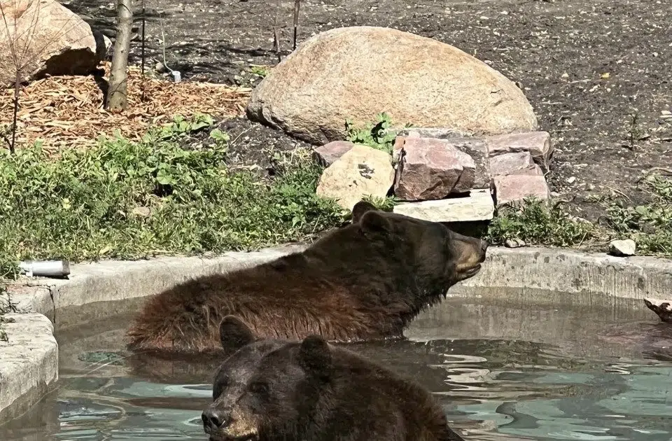 Expedition ZooFalls is coming to the Great Plains Zoo KELOAM