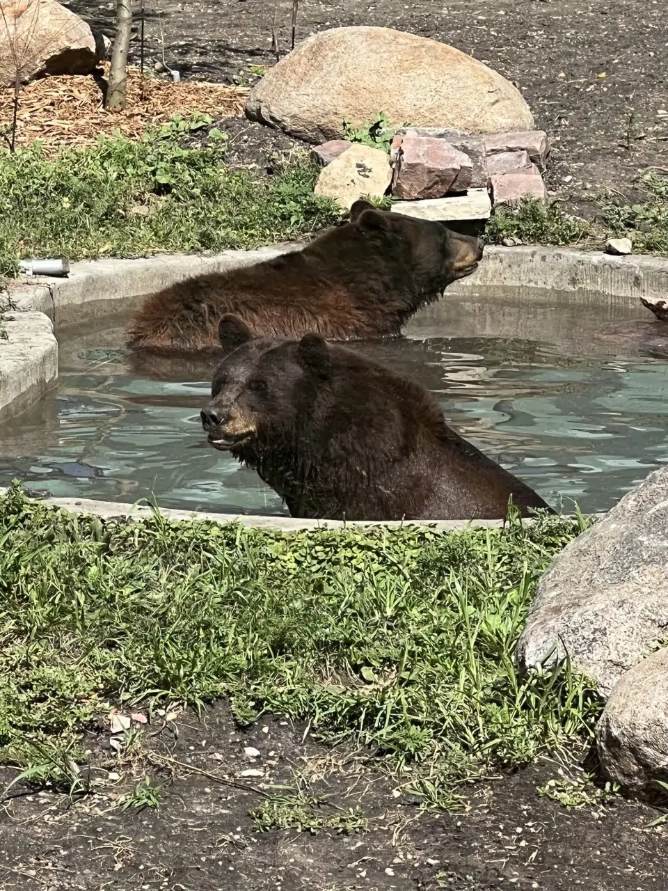 Expedition ZooFalls Is Coming To The Great Plains Zoo Sports Radio KWSN   Gpz 