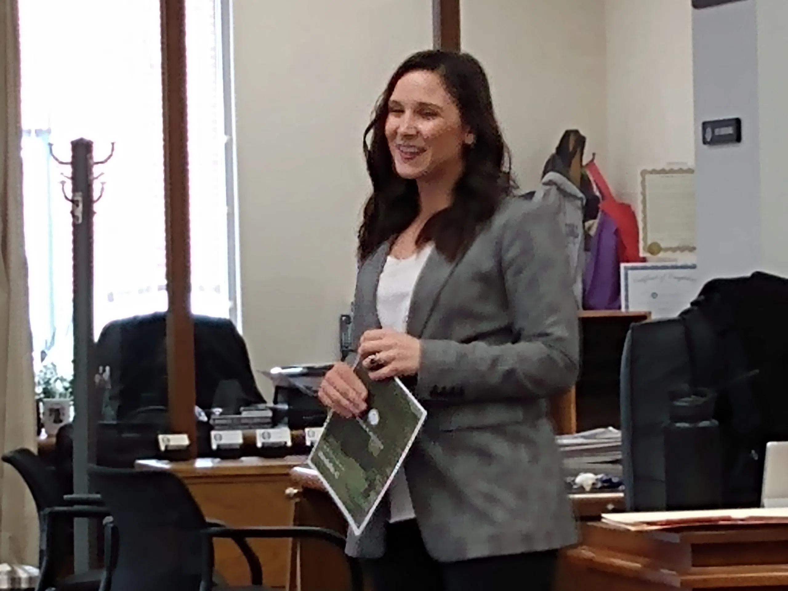 Large crowd hears from consultant about potential revitalization of