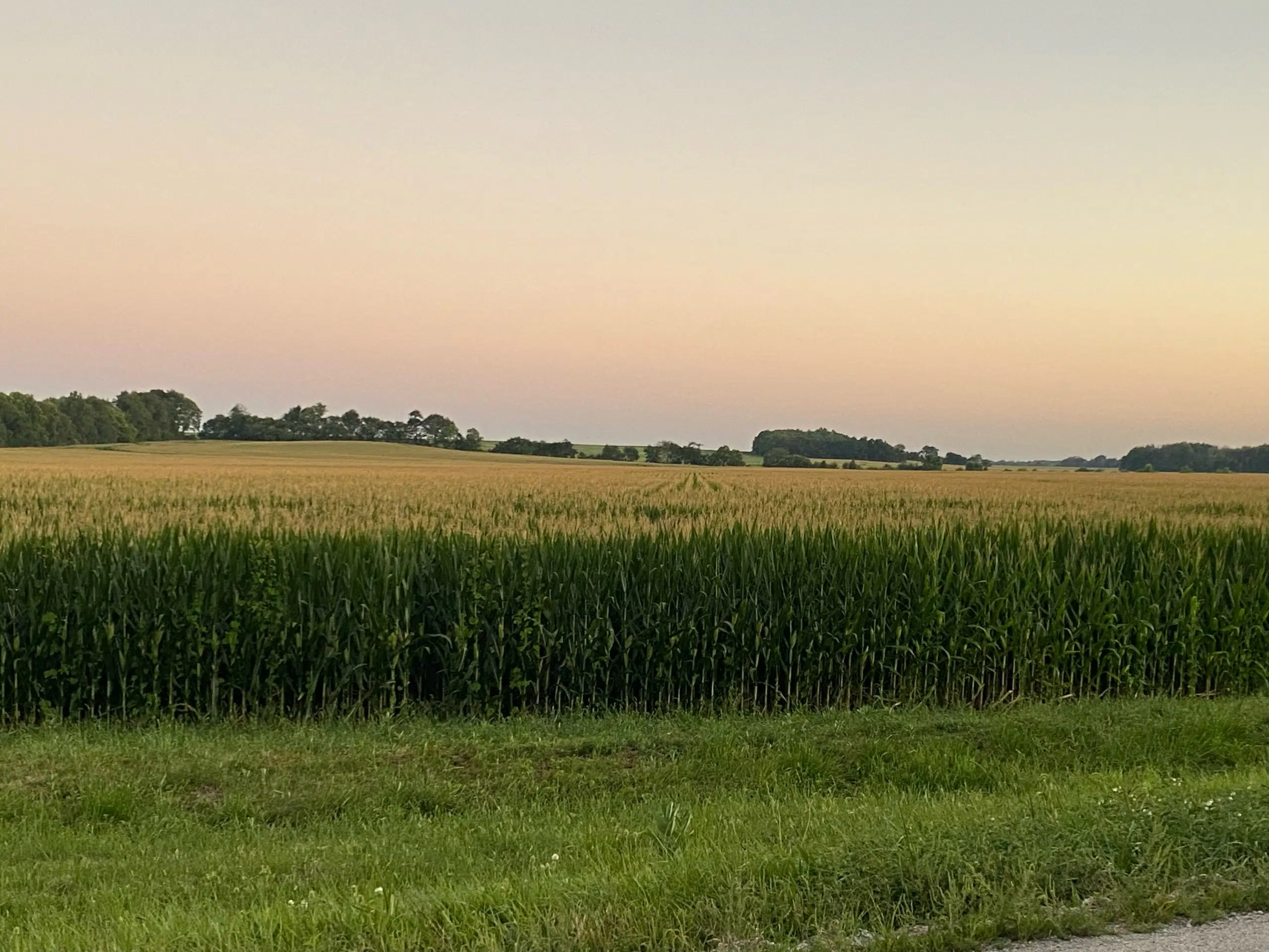 Weekly Statewide Crop Report Vandalia Radio