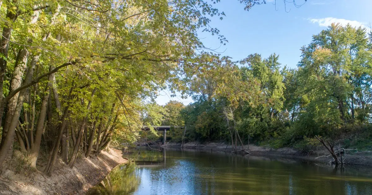 Sunny, Windy & Mild for today—Up & Down weather temps this week