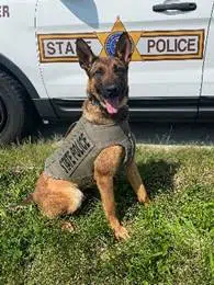 Illinois State Police K9 Odin Receives Donation of Body Armor ...