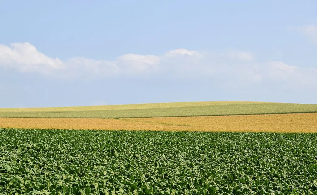 Weekly Illinois Crop Progress and Condition