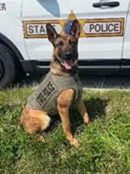 ISP K9 Odin Has Received Donation Of Body Armor | Effingham Radio