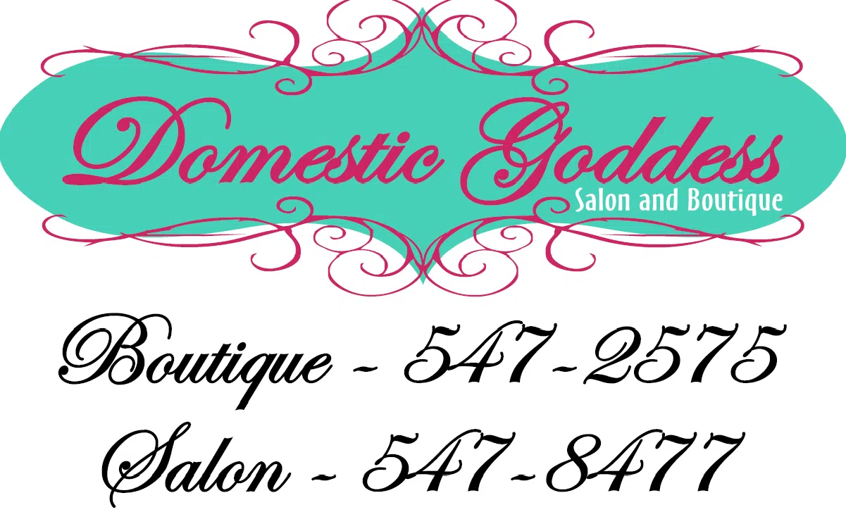 Domestic Goddess Domestic Goddess