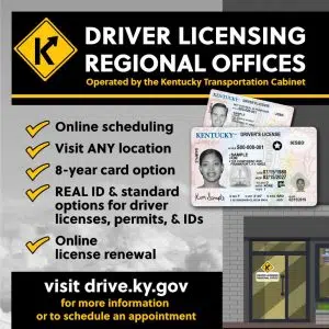 ford ids license renewal