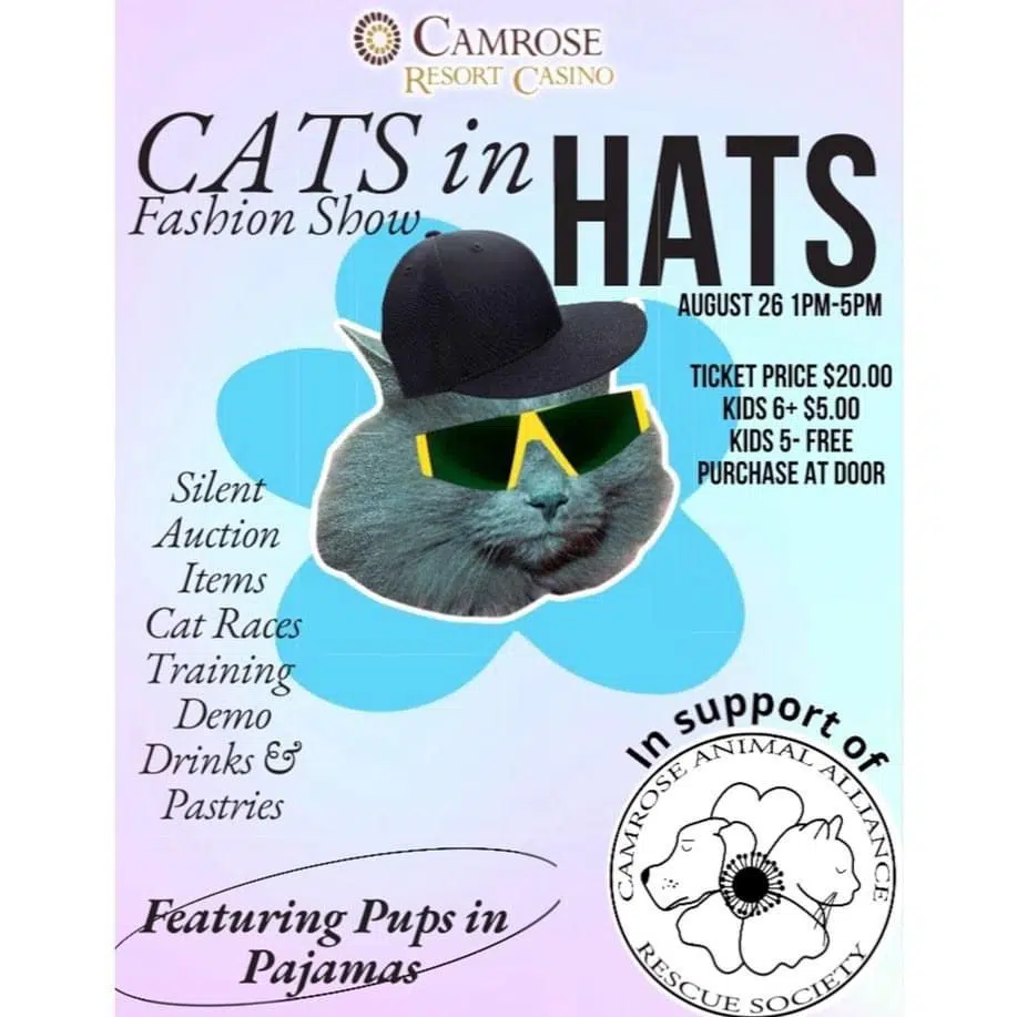 Cats In Hats Headed For Camrose