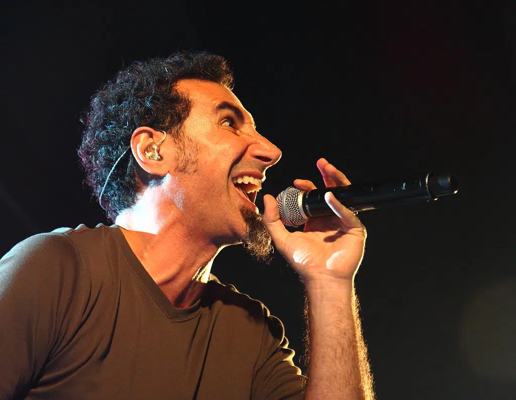 serj tankian toxicity