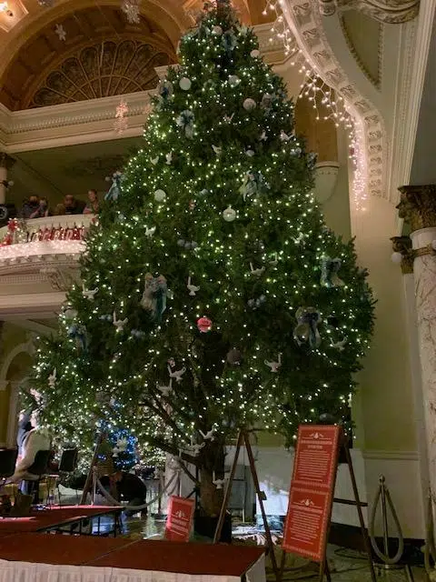 Christmas at the Capitol featured tree.