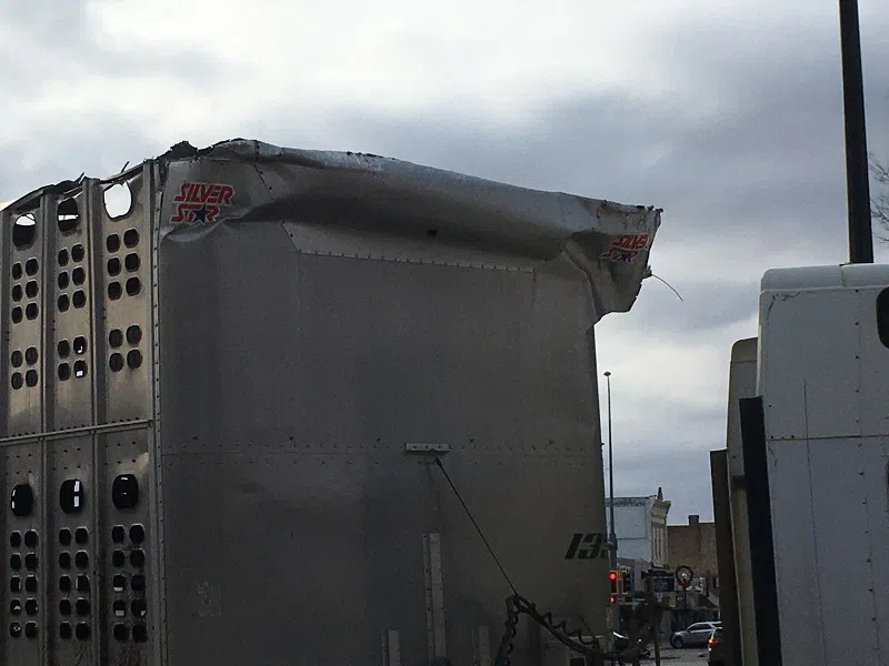 cattle truck vs pierre train bridge