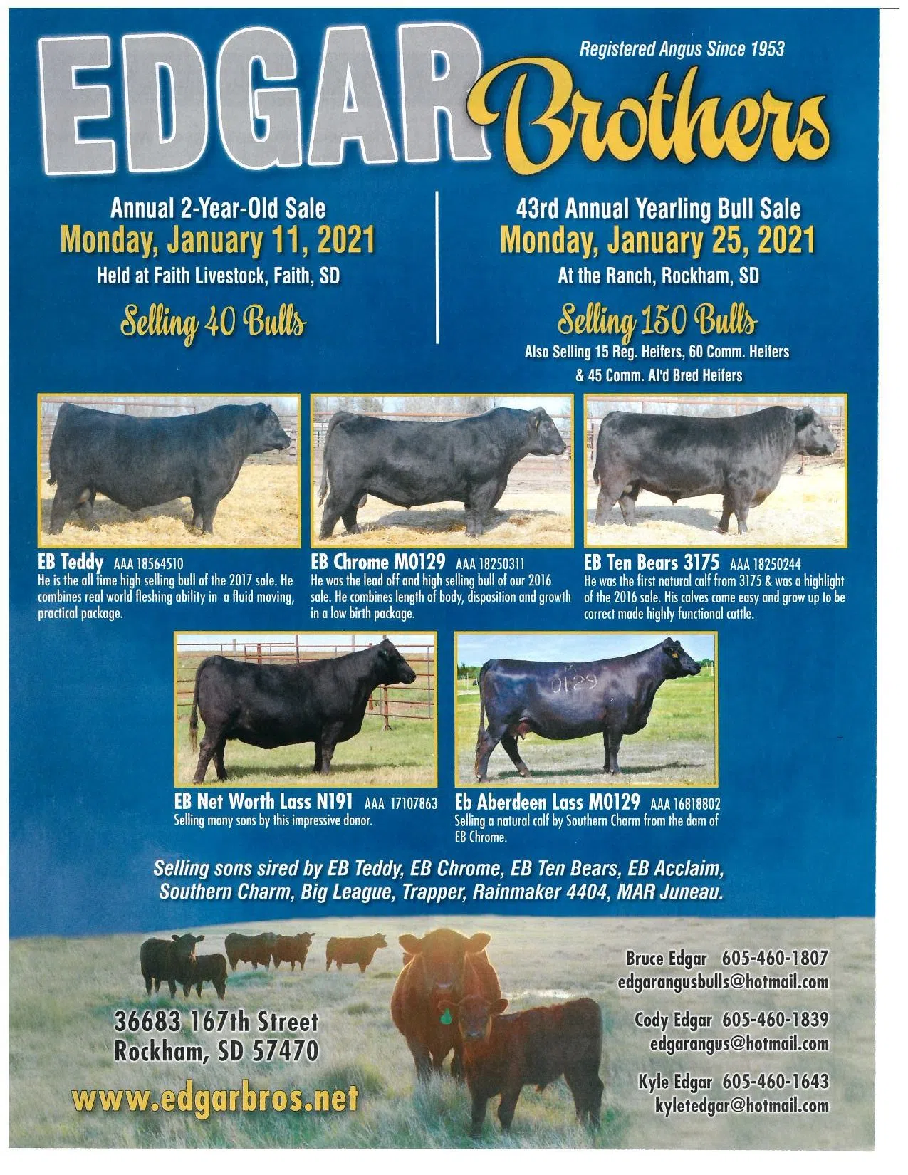 Edgar Bros. Bull Sale DRGNews