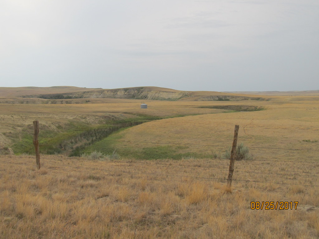 Grassland group: Ranchers need a plan to deal with drought - Vimarsana News