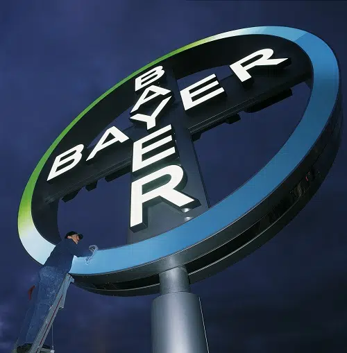 Bayer moving forward on short-corn system - Drgnews