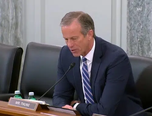 Thune questions panel on meatpacking industry's control over beef processing capacity and supply