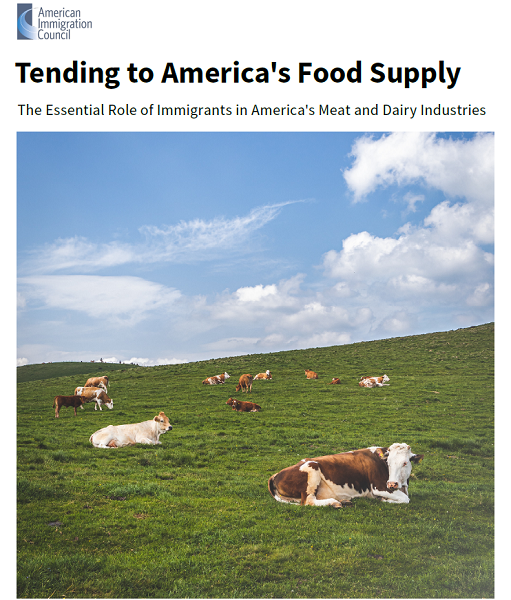 New research reveals role of immigrants in America's meat and dairy industries - Vimarsana News