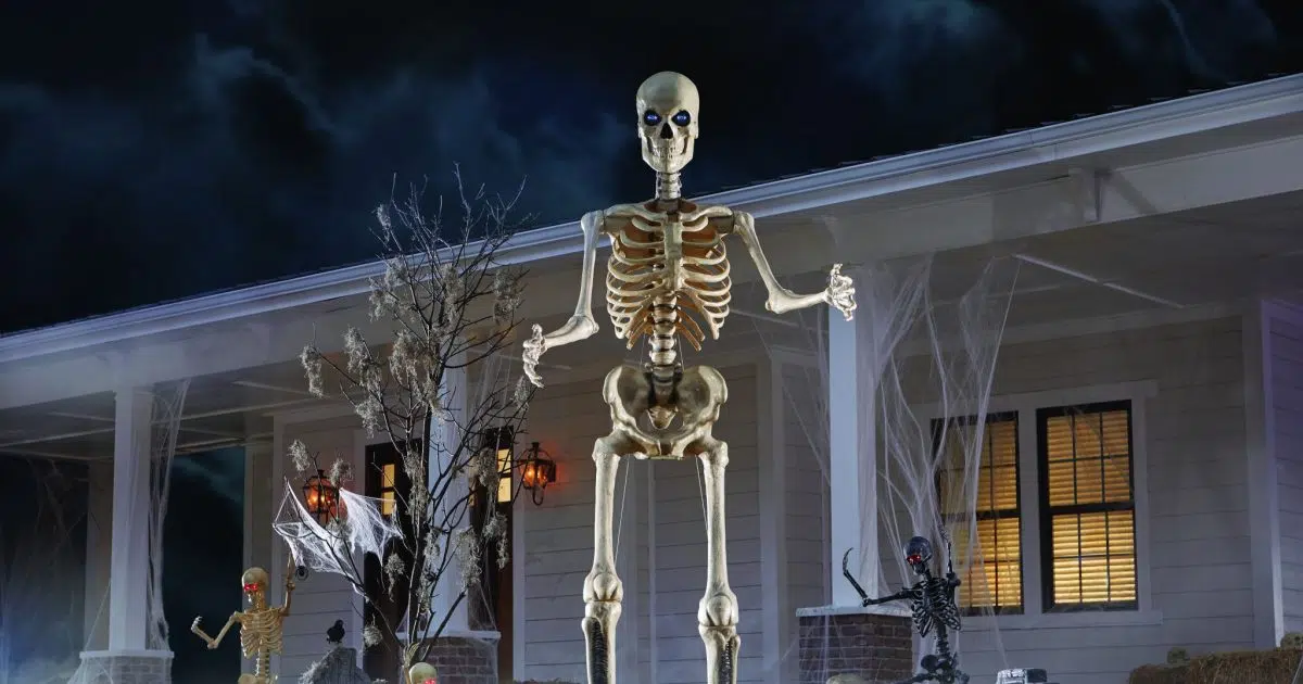 Halloween decorations for sale already! DRGNews
