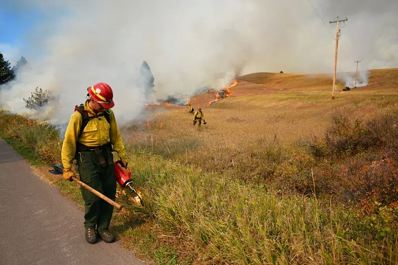 In center of photo is a man dressed in a yellow shirt and green pants wearing a bright red helmet and holding a drip torch in one hand and tool in the other. He's looking down as his drip torch catches the grass on fire. In the background are two more firefighters walking through prairie grass lighting it on fire with their drip torches. Smoke and a burned area in in the background.