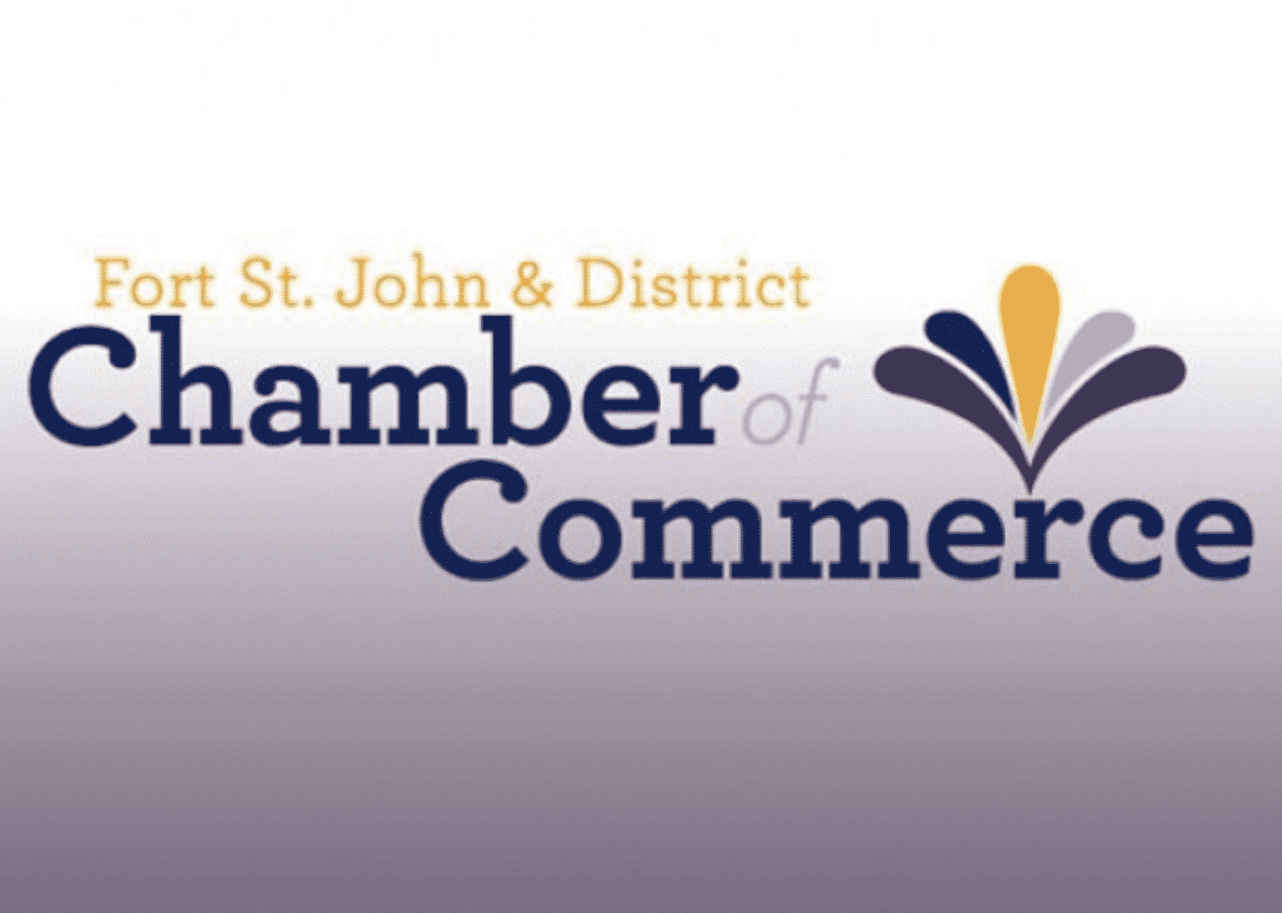 FSJ and District Chamber of Commerce announces 21-22 Board of Directors - Vimarsana News