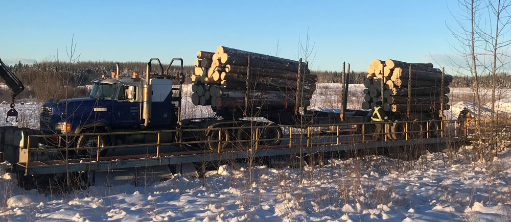 Fort Nelson First Nation, municipality reject criticism of proposed wood pellet plant - Vimarsana News