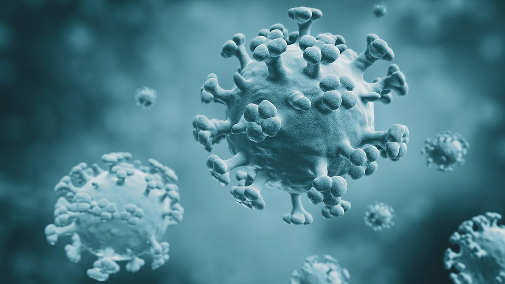 Low flu numbers across province: Northern Health - Vimarsana News
