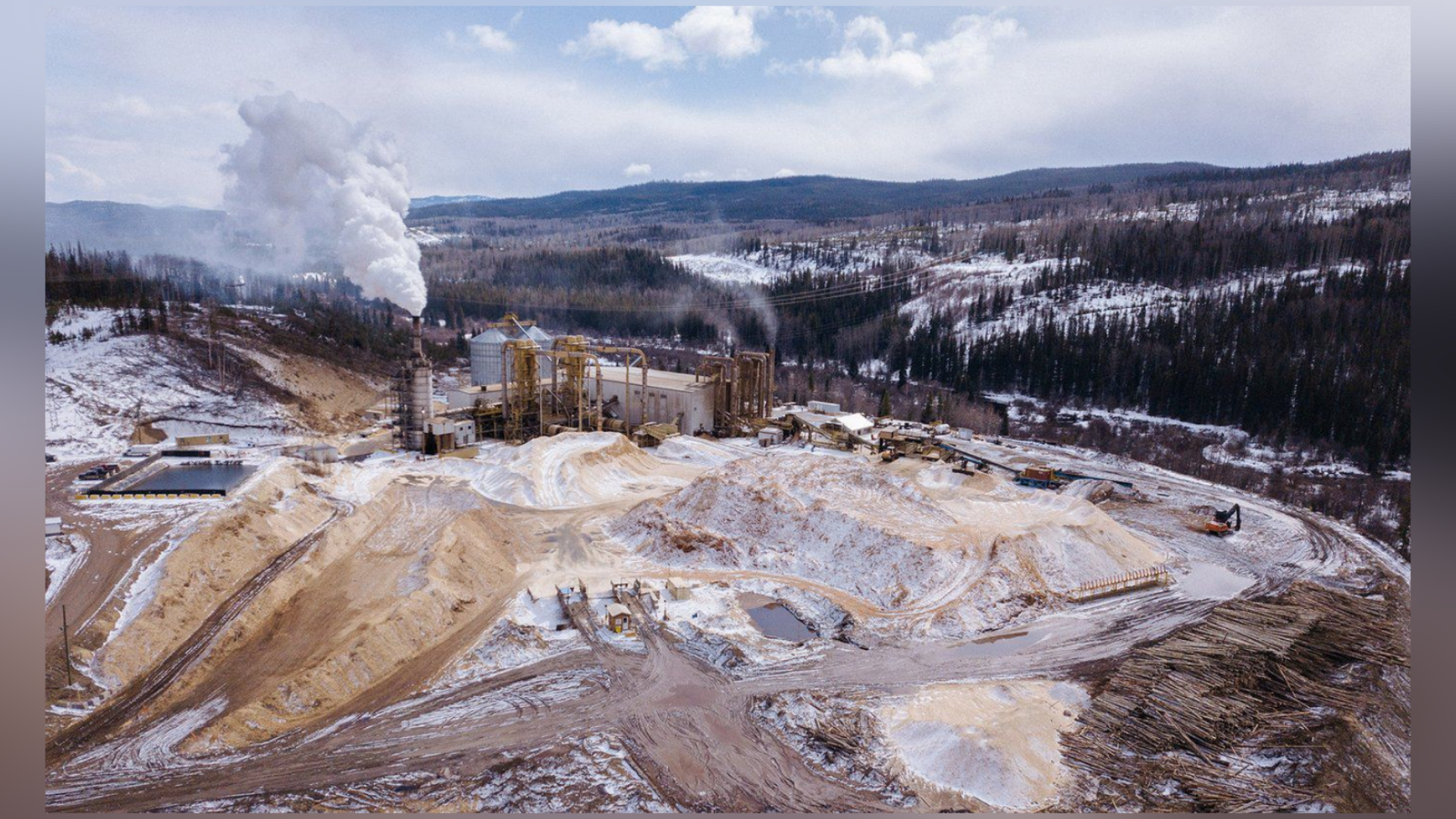 New report pokes holes in sustainability of B.C.'s wood pellet industry | Energeticcity.ca - Vimarsana News
