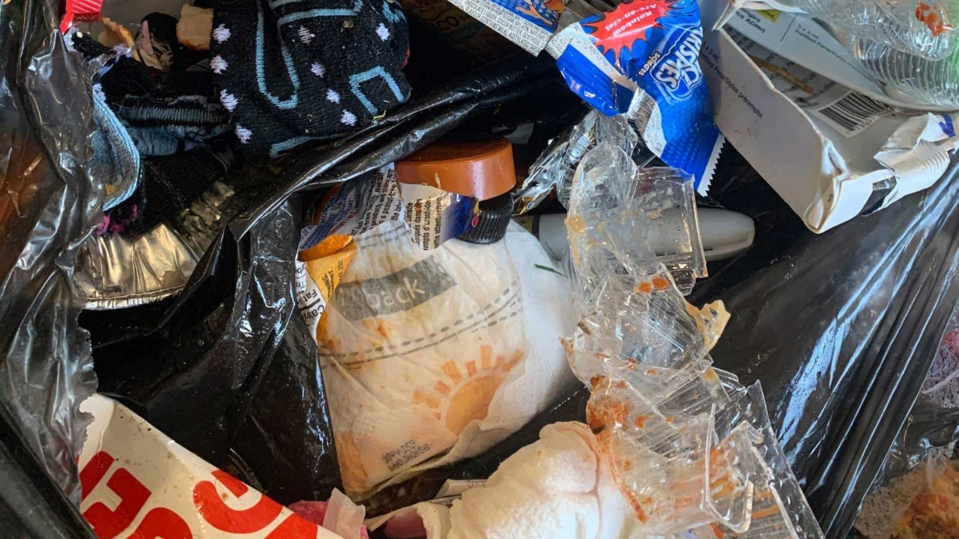 City aims to combat recycling contamination - Vimarsana News