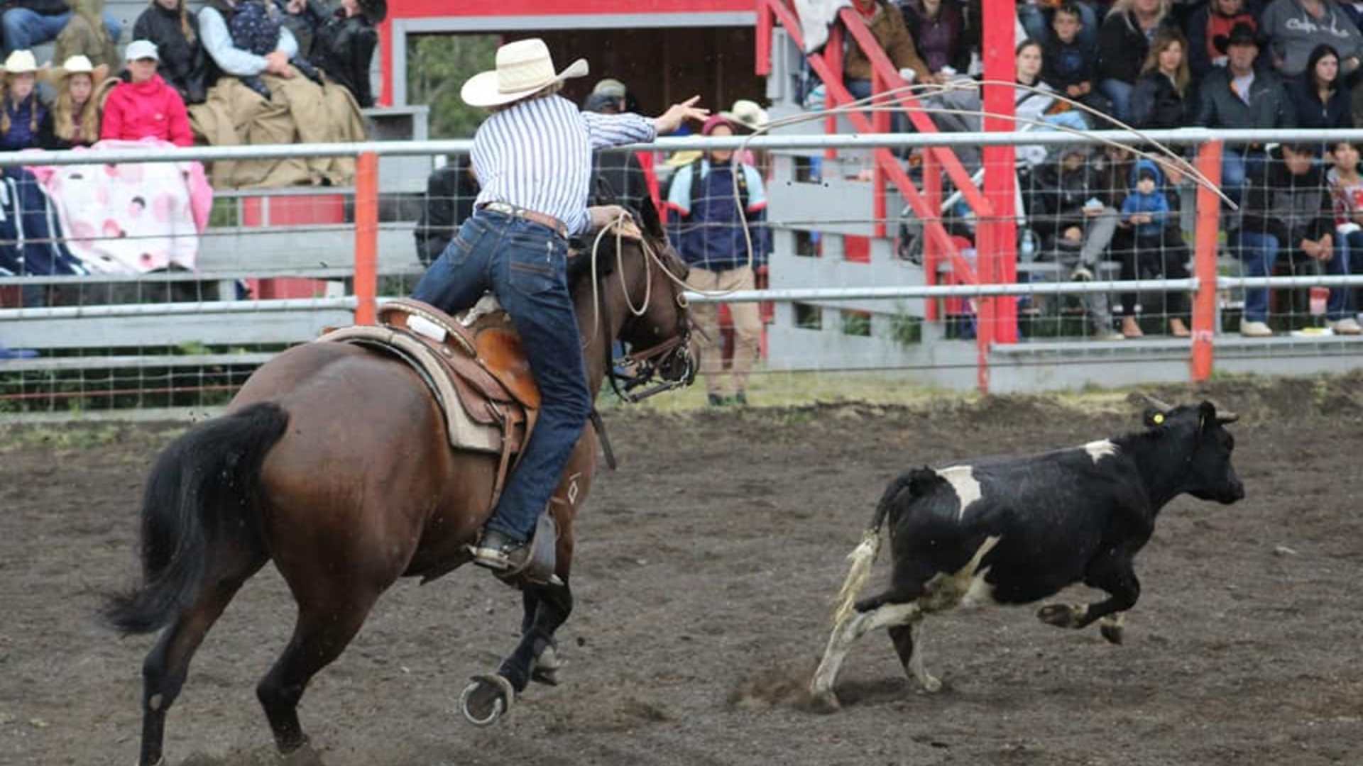 Super Saturday, soggy Sunday at Halfway River Rodeo - Vimarsana News