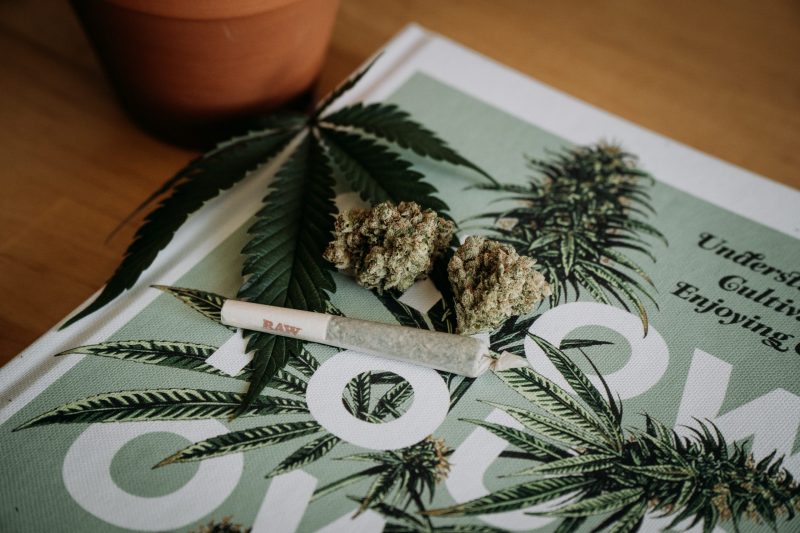 More retail cannabis stores could soon be popping up outside of downtown FSJ - Vimarsana News