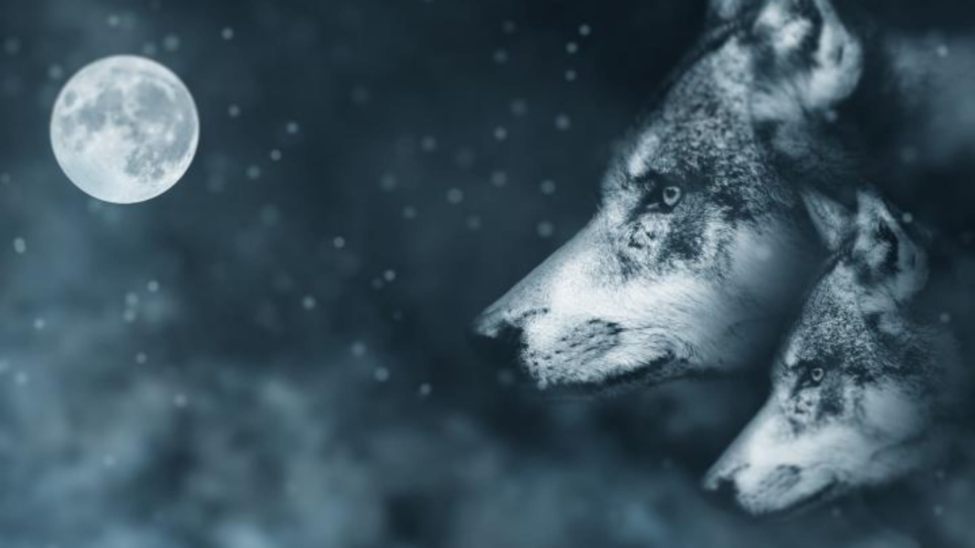 Howl at the full Wolf Moon next Monday, January 17th - Vimarsana News