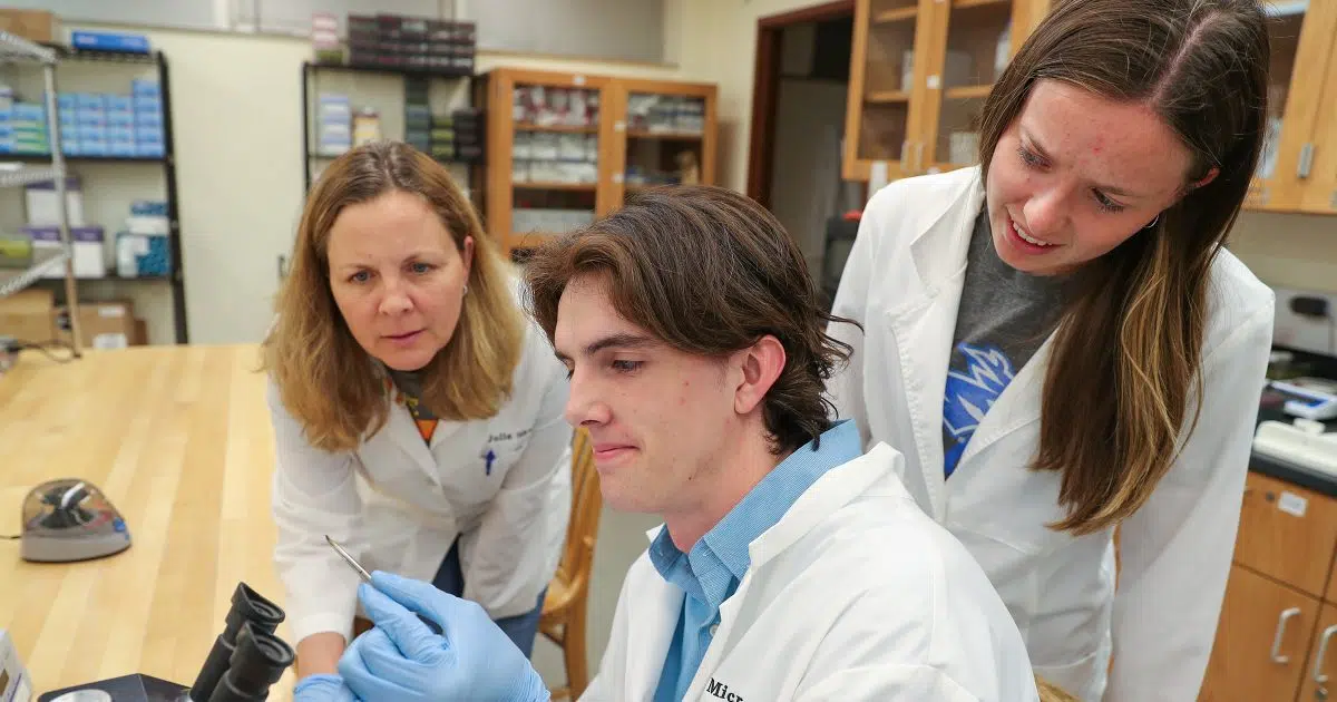 Tick Testers: UNK researchers study tiny pest that can cause big