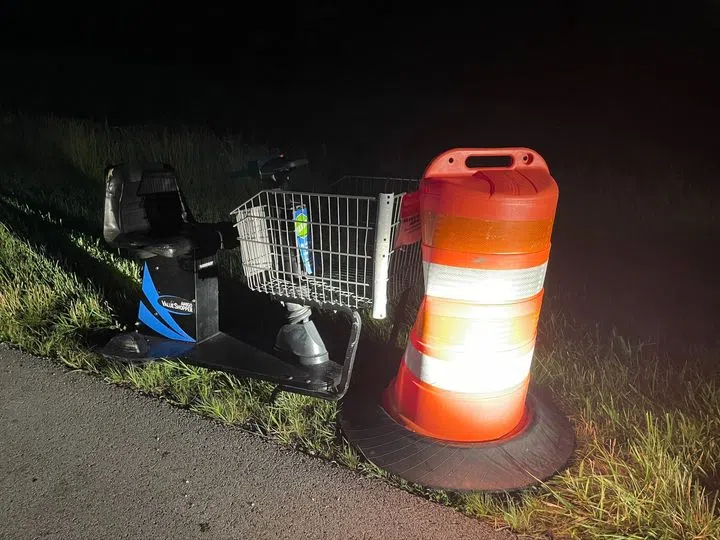 Someone Was Saving Gas By Driving A Walmart Shopping Cart On The Freeway 105.3 The Bone